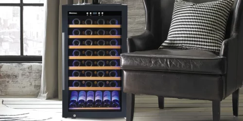 What Is The Best Free-standing Wine Cooler?